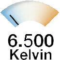 6000